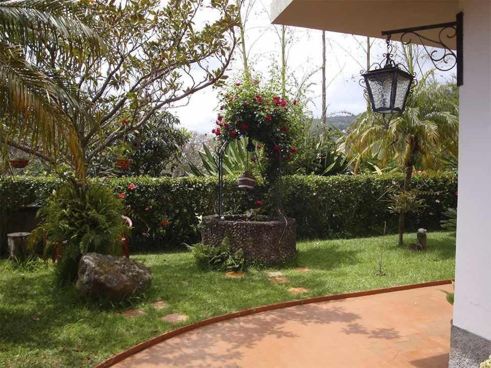 Vila Gama Apartamentos Rodeados De Natureza Machico  Exterior foto
