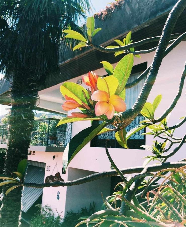 Vila Gama Apartamentos Rodeados De Natureza Machico  Exterior foto