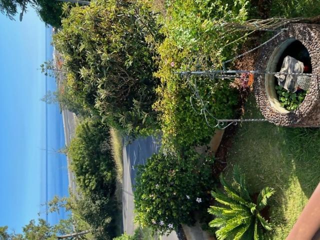 Vila Gama Apartamentos Rodeados De Natureza Machico  Exterior foto