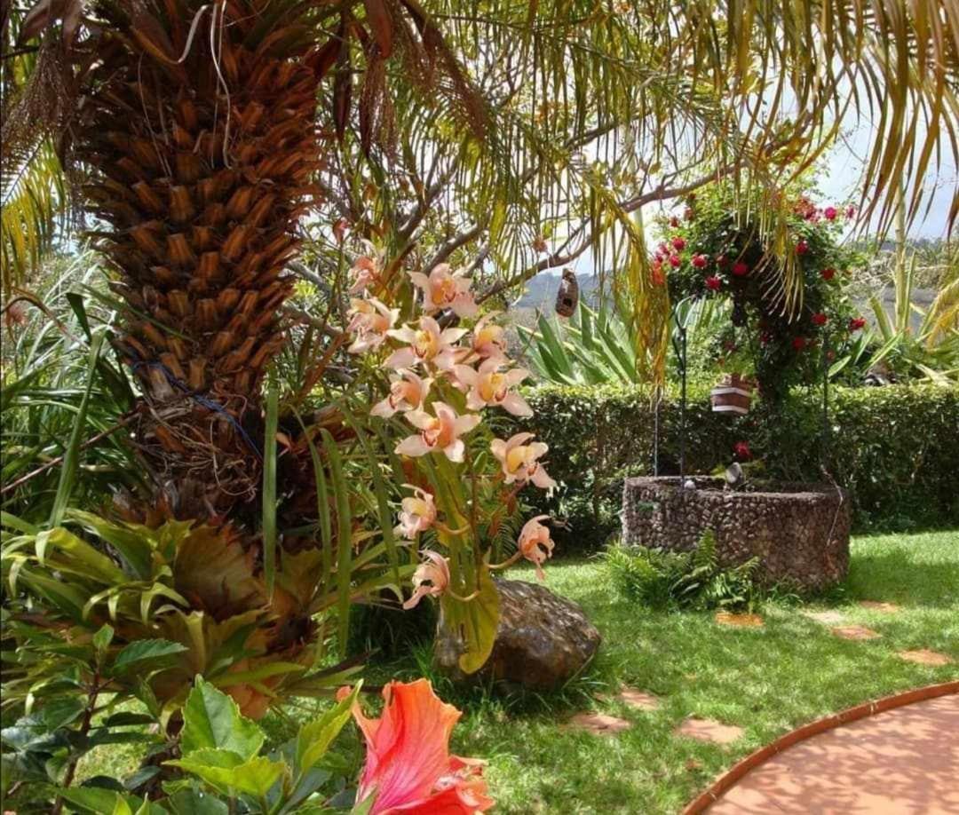 Vila Gama Apartamentos Rodeados De Natureza Machico  Exterior foto